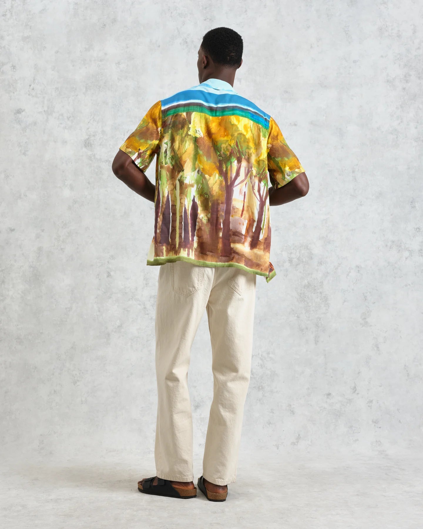 ディドコットシャツ VILLAGE SCENE (GREEN/MULTI) - グリニッジ オンラインストア