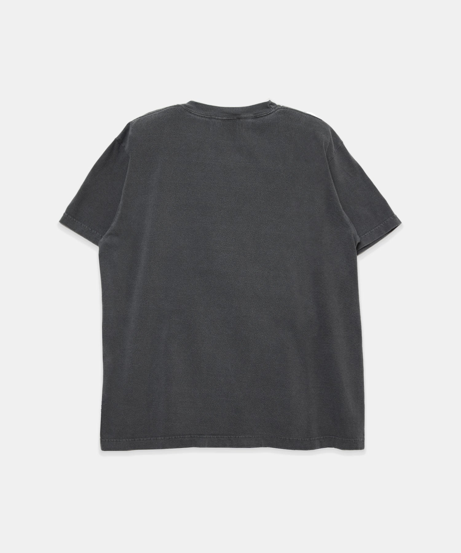 フォトTシャツ 26W013 (CHARCOAL)