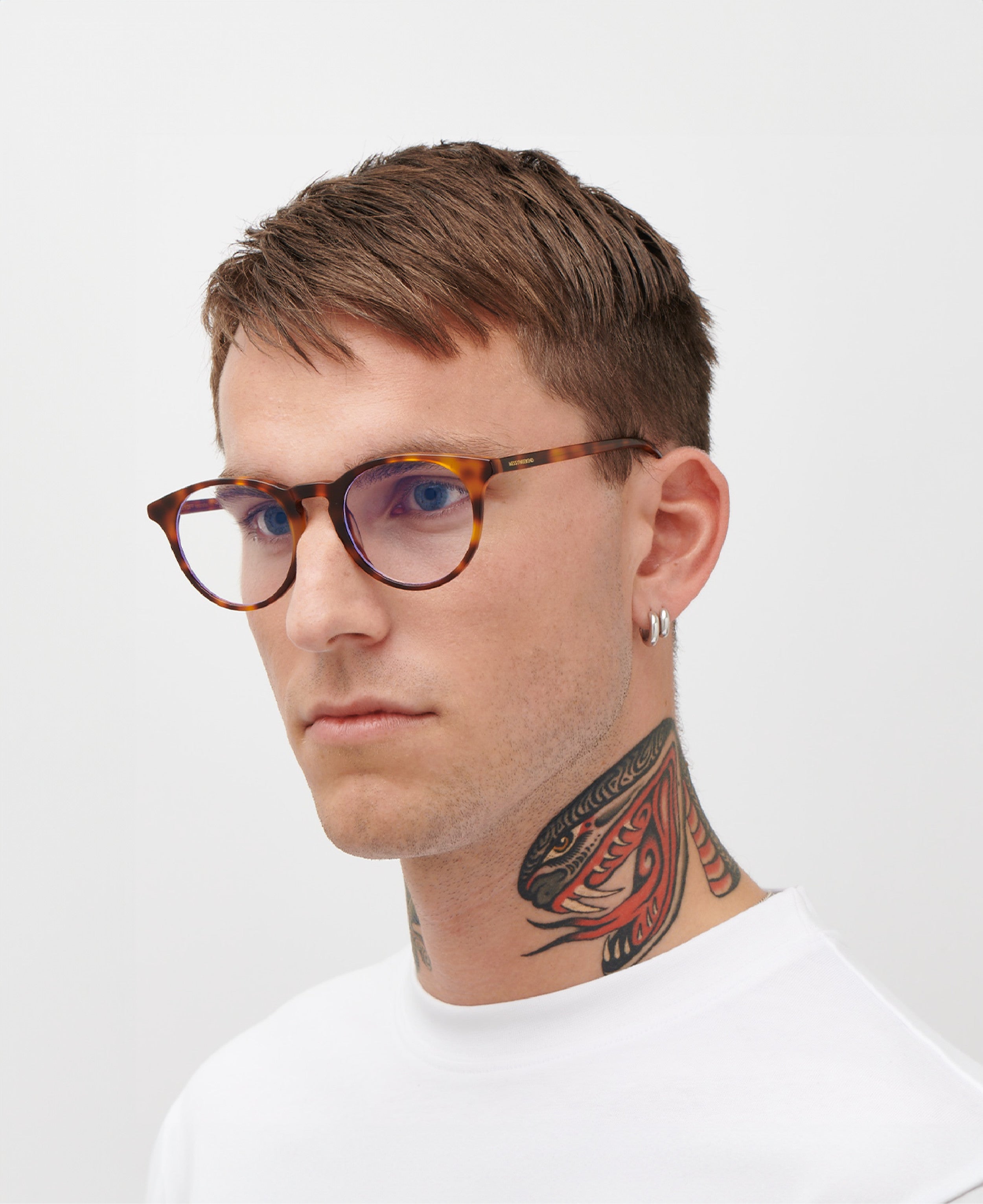 DEPP Tortoise Blue-light