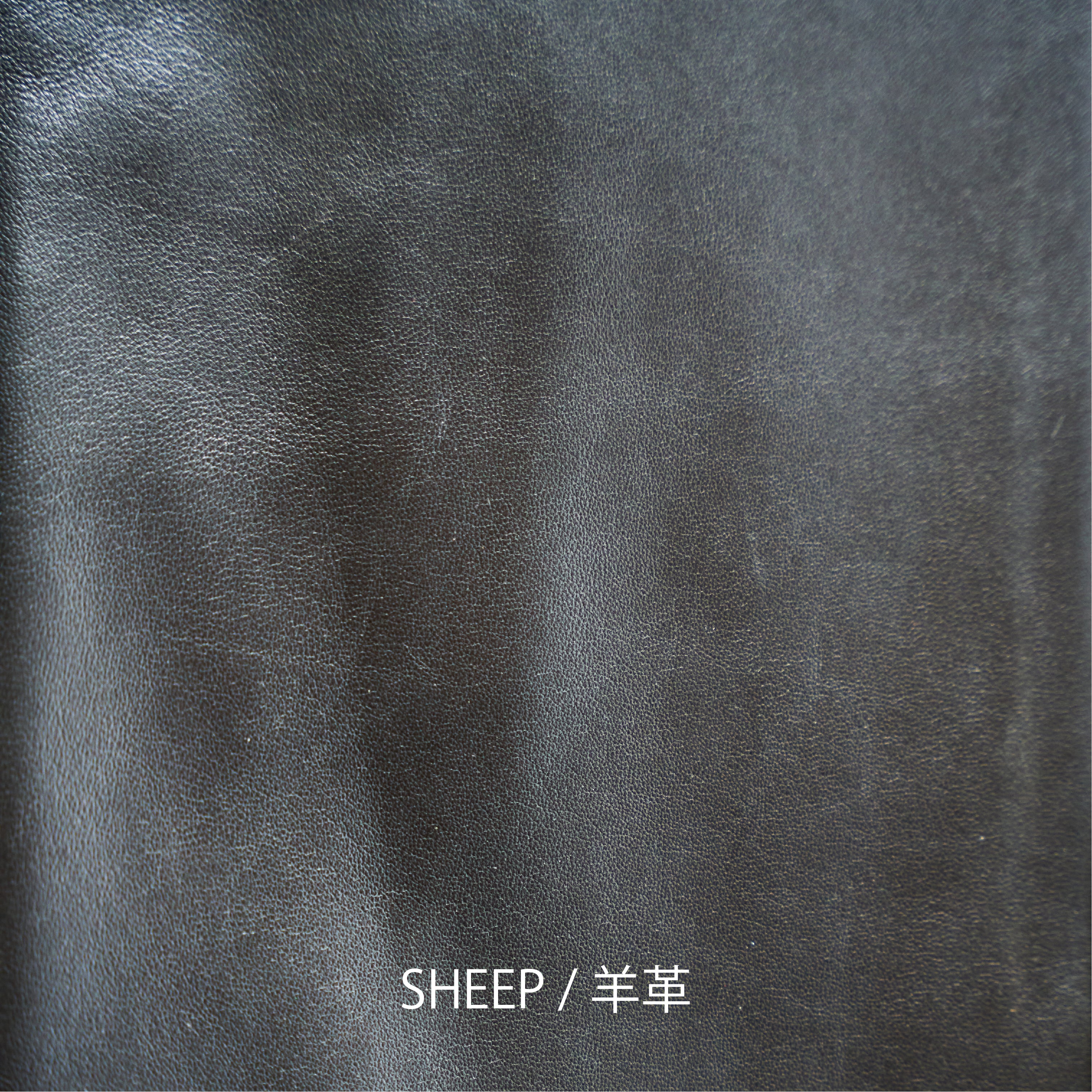 James Groseジェームスグロース