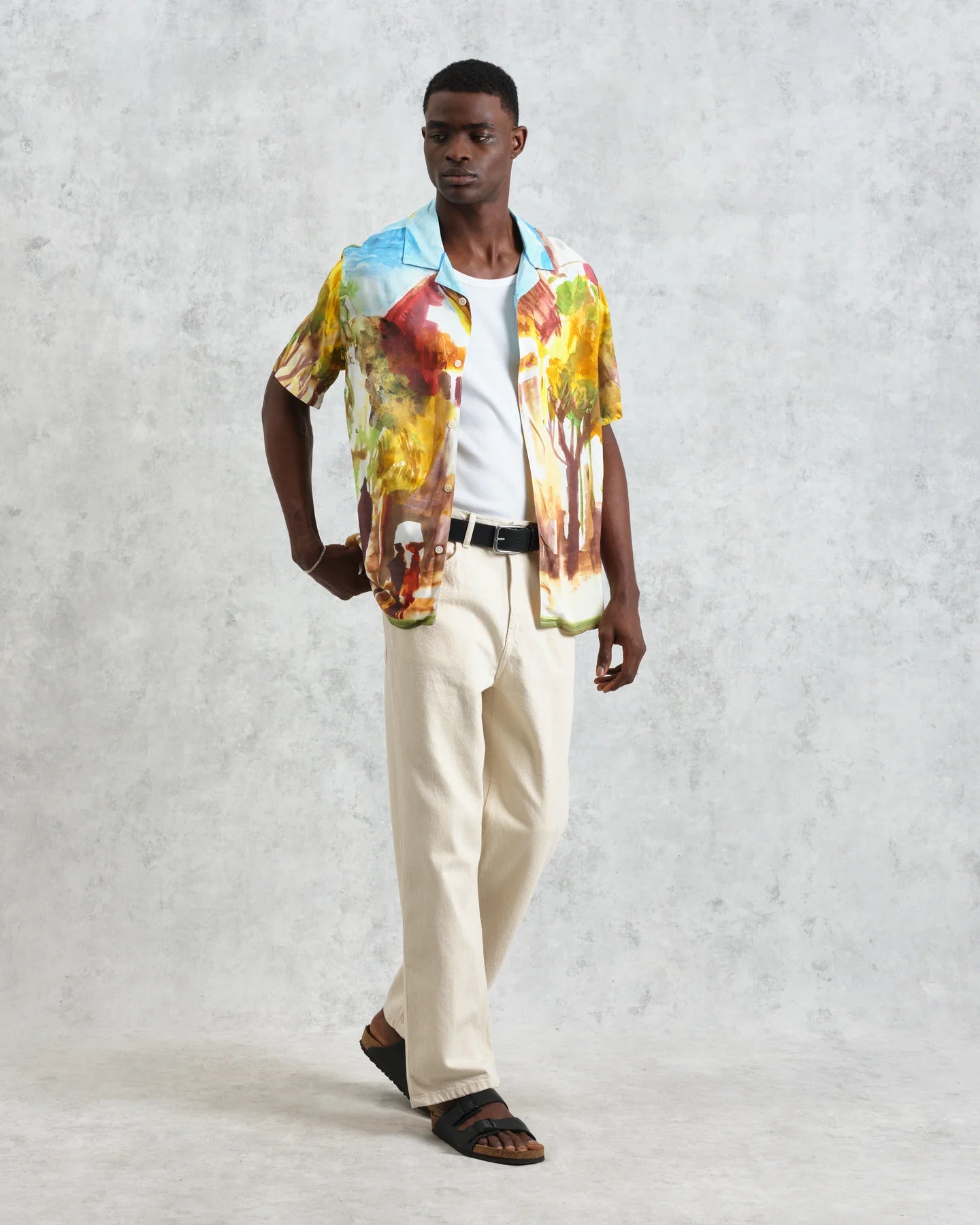 ディドコットシャツ VILLAGE SCENE (GREEN/MULTI) - グリニッジ オンラインストア