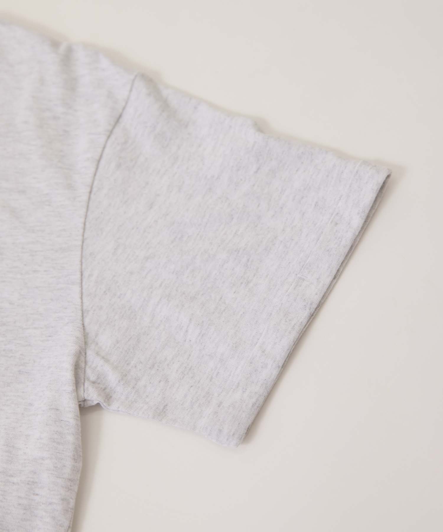 ロゴTシャツ 26W001 (ASH)