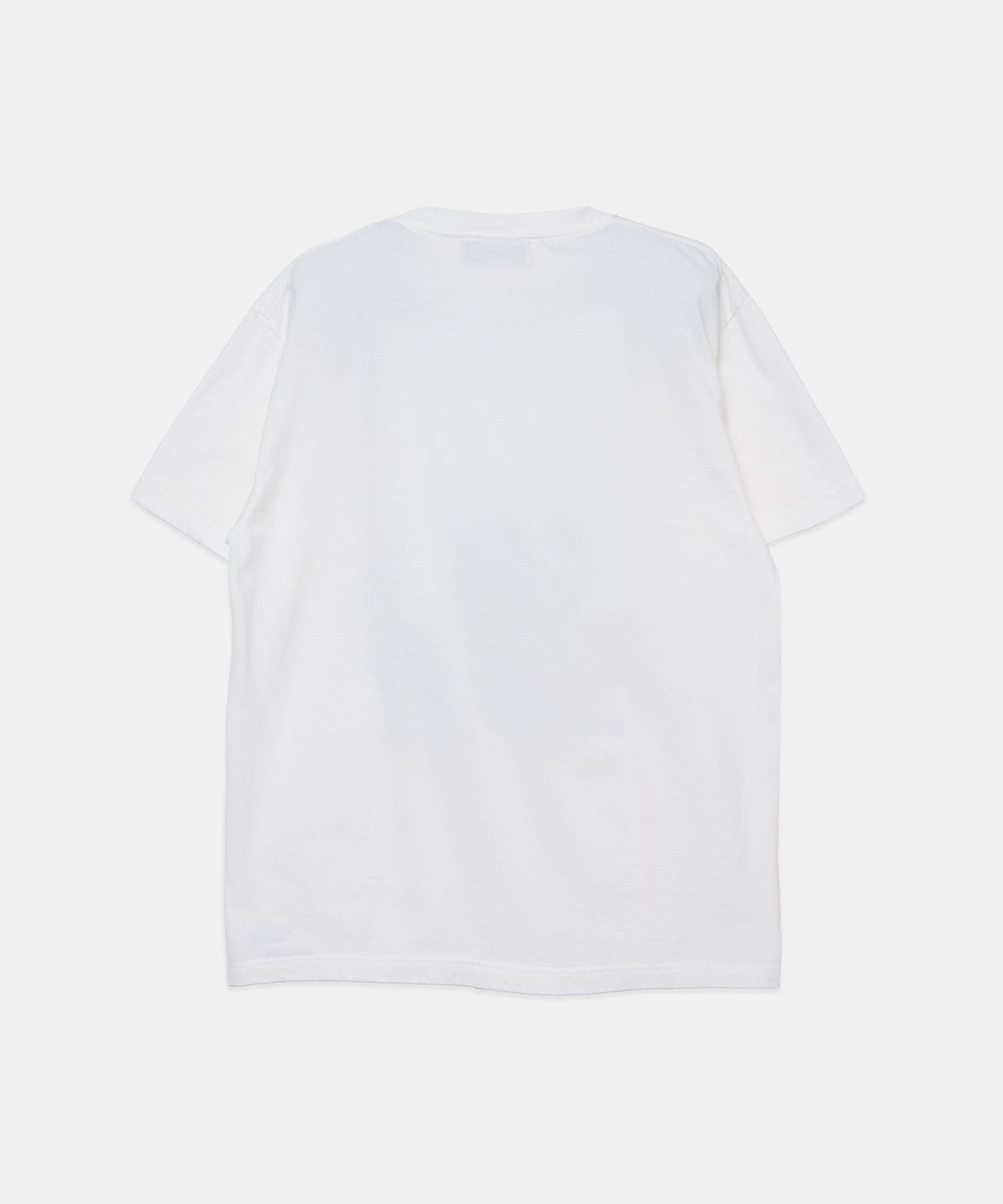 フォトTシャツ 26W013 (WHITE)
