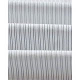 【予約】シェリーシャツ POPLIN FINE STRIPE (ECRU/BLUE)