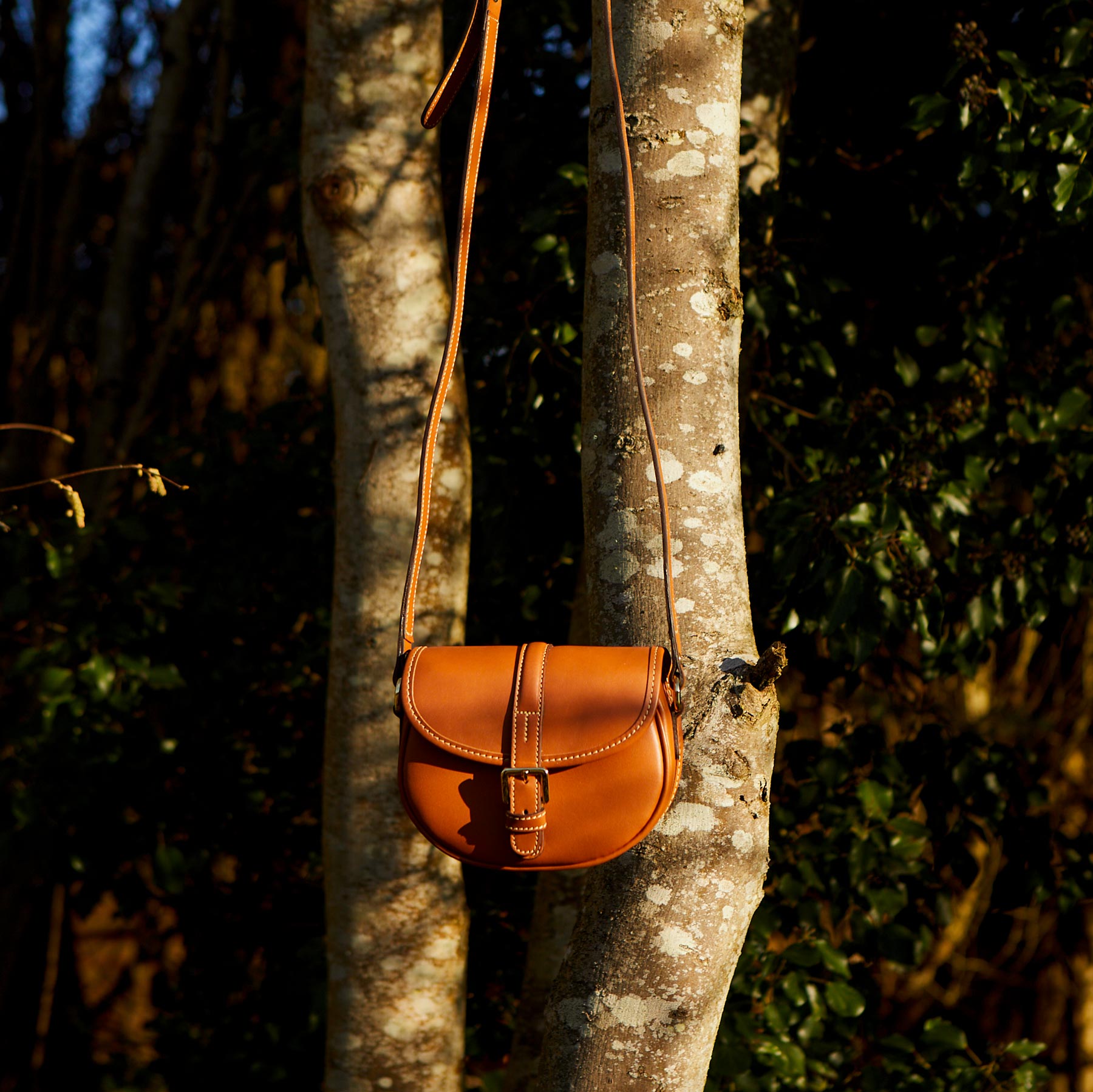 Mini Cardington - ミニカーディントン